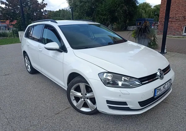 volkswagen golf skalbmierz Volkswagen Golf cena 36600 przebieg: 215000, rok produkcji 2014 z Skalbmierz